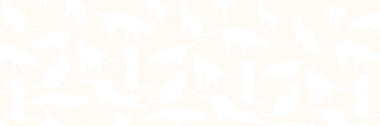 Upscale Cat Boarding Near Me Experience