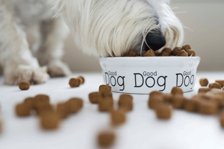 Can My Dog Eat Grains? Yes. Our Kennels Feed Eukanuba & Royal Canin