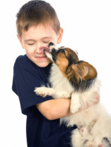pets are good for you