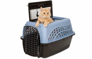 cat carrier