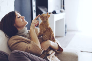 talking cats