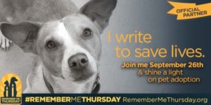 saving dogs