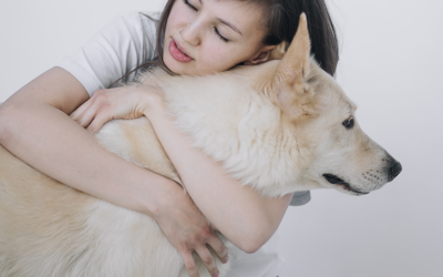 Dealing with pet separation anxiety