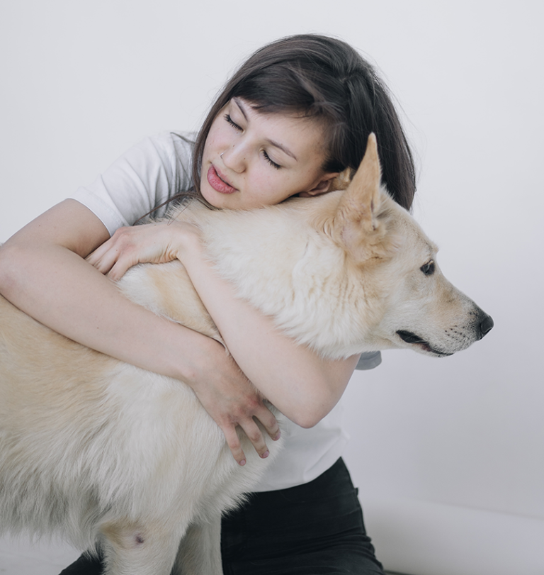 separation anxiety Auckland Kennel & Cattery