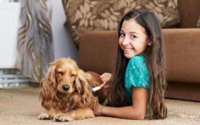 Getting rid of pet hair