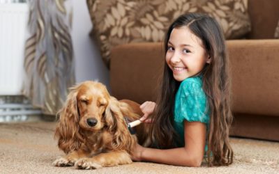 Getting rid of pet hair