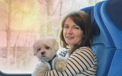 Dogs on trains in Auckland