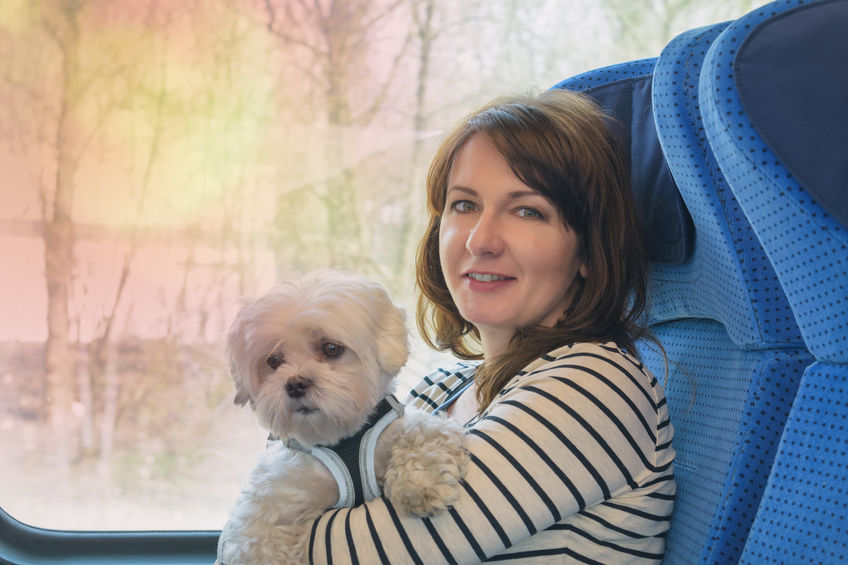 Dogs on trains in Auckland