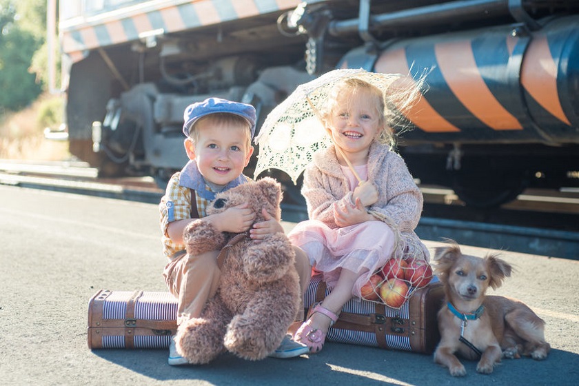 can my dog travel by train in Auckland can my dog travel by train in Auckland