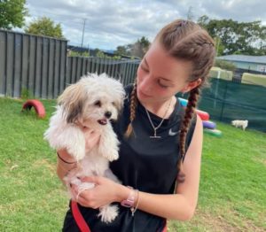 popular dog named bella at Auckland kennels